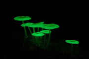 Green_neon_shrooms.jpg