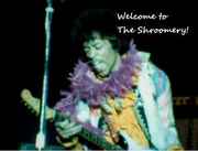 Jimi_welcome.jpg