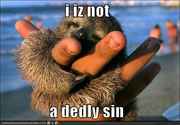 funny-pictures-sloth-is-not-a-sin.jpg